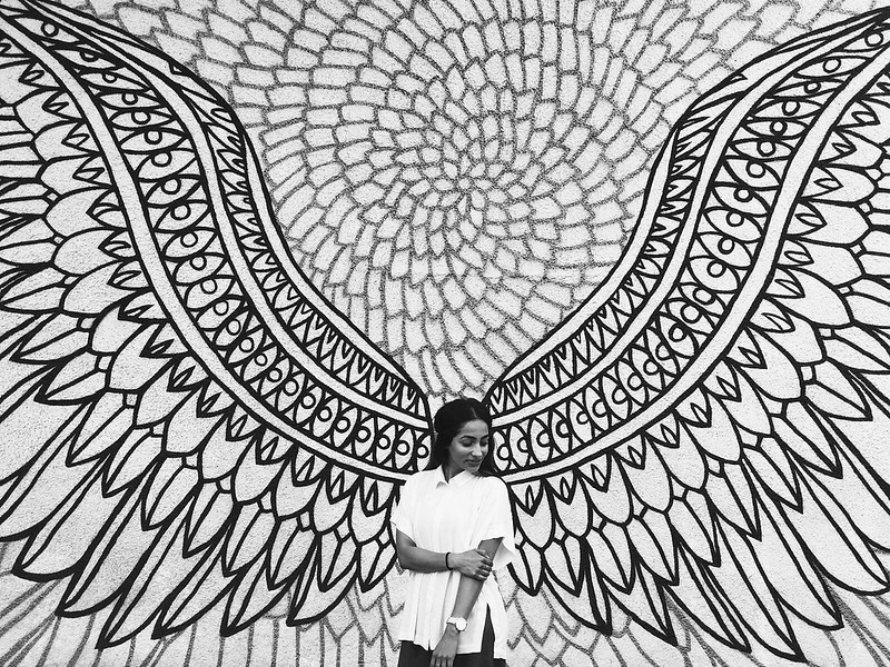 Kits wings in the background, slightly blurred. Colorful tulips in the foreground, in focus.