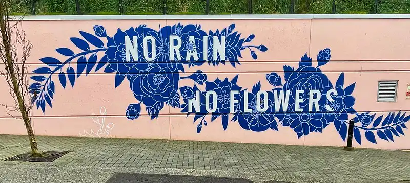 Street art mural with a peach background and blue flowers and text on top saying 'No Rain No Flowers'